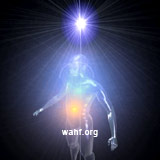 tl_files/content images/mce.jpg tl_files/content images/mce.jpg